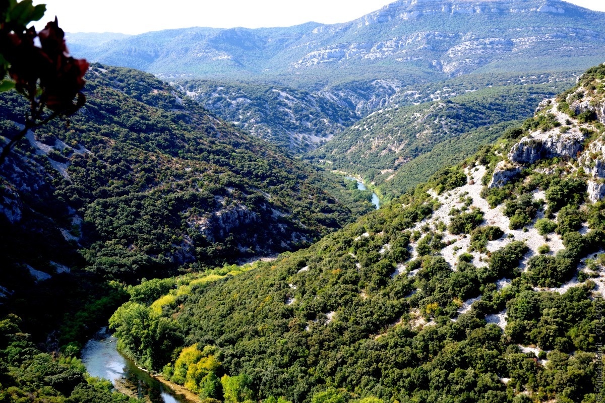 Gorges de l'Hérault